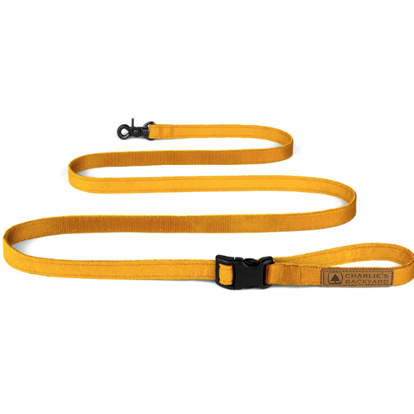 Adjustable Easy Dog Leash in Yellow Walk CHARLIE'S BACKYARD   