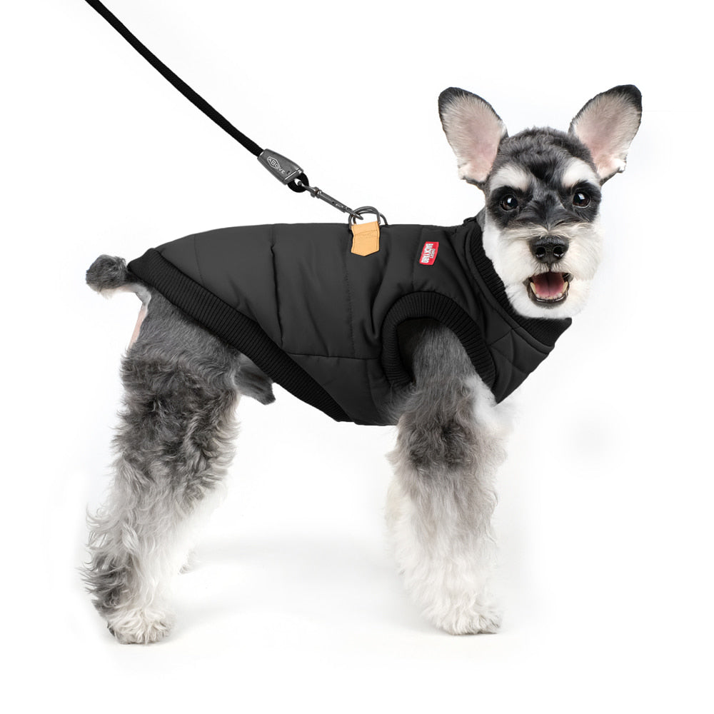 CHARLIE'S BACKYARD | Harness Jacket in Black | DOG & CO.