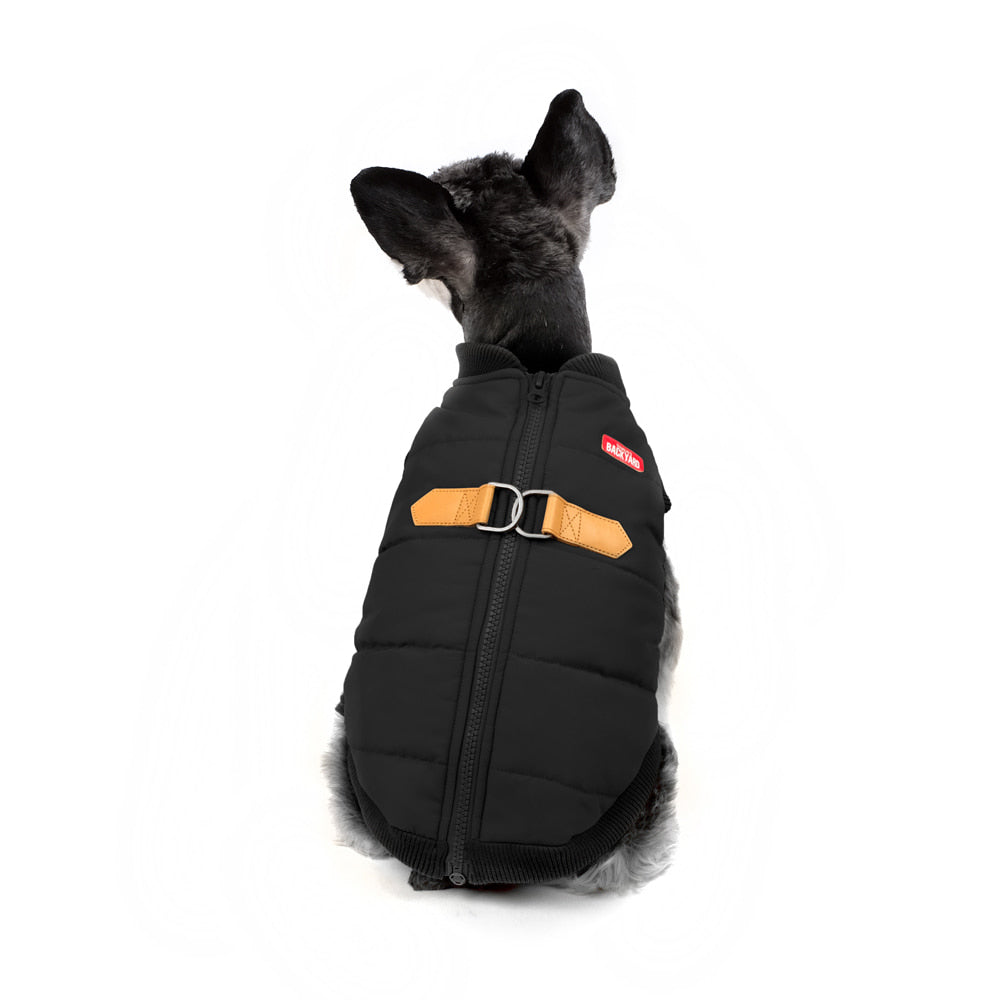 CHARLIE'S BACKYARD | Harness Jacket in Black Wear CHARLIE'S BACKYARD   