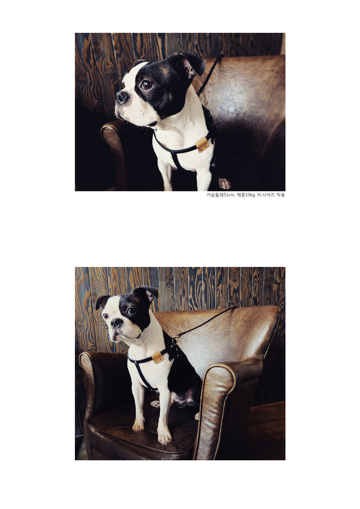 CHARLIE'S BACKYARD | Leather Harness in Black Harness CHARLIE'S BACKYARD   