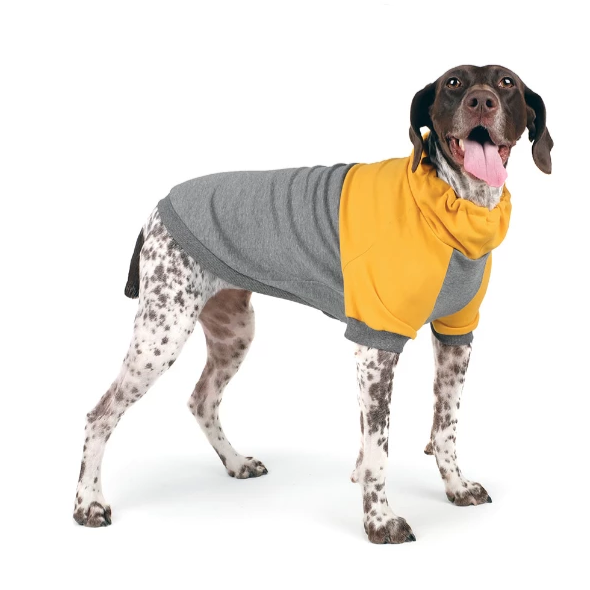 CHARLIE'S BACKYARD | Rover Pullover in Grey & Yellow Apparel CHARLIE'S BACKYARD   