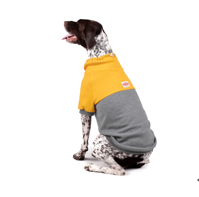 CHARLIE'S BACKYARD | Rover Pullover in Grey & Yellow Apparel CHARLIE'S BACKYARD   