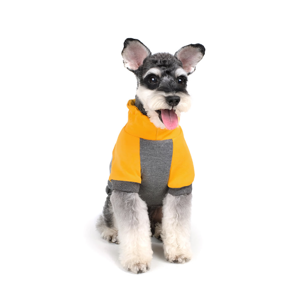 CHARLIE'S BACKYARD | Rover Pullover in Grey & Yellow Apparel CHARLIE'S BACKYARD   