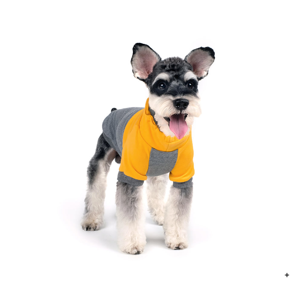 CHARLIE'S BACKYARD | Rover Pullover in Grey & Yellow Apparel CHARLIE'S BACKYARD   