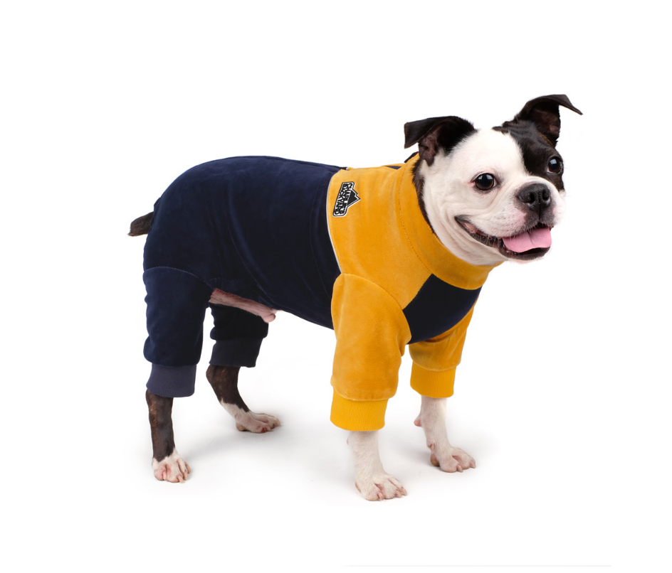 Sierra Onesie in Mustard (FINAL TS SALE) Wear CHARLIE'S BACKYARD   