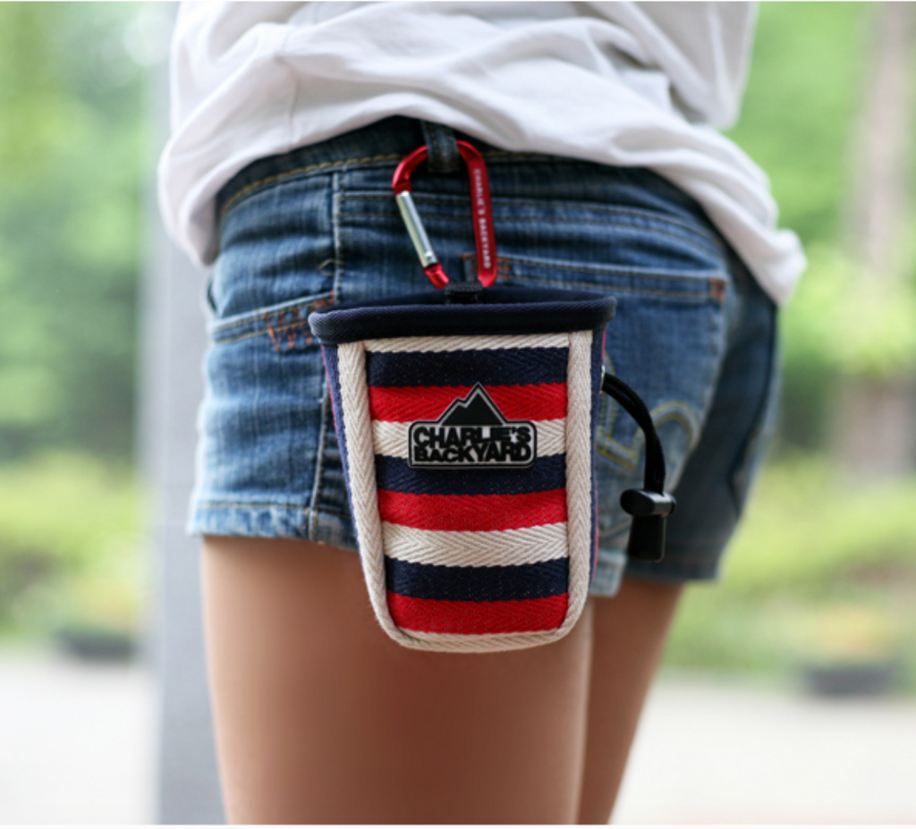 Dog Treat Bag in Navy Stripe WALK CHARLIE'S BACKYARD   
