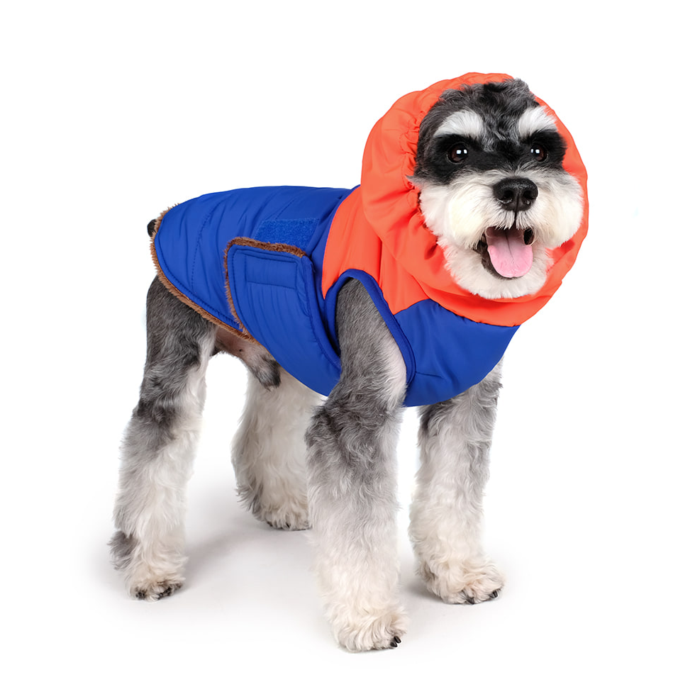 Turtle Padding Jacket in Orange and Blue (FINAL SALE) Wear CHARLIE'S BACKYARD   
