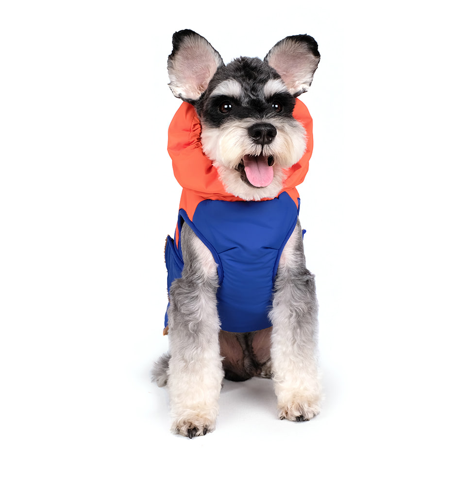Turtle Padding Jacket in Orange and Blue (FINAL SALE) Wear CHARLIE'S BACKYARD   