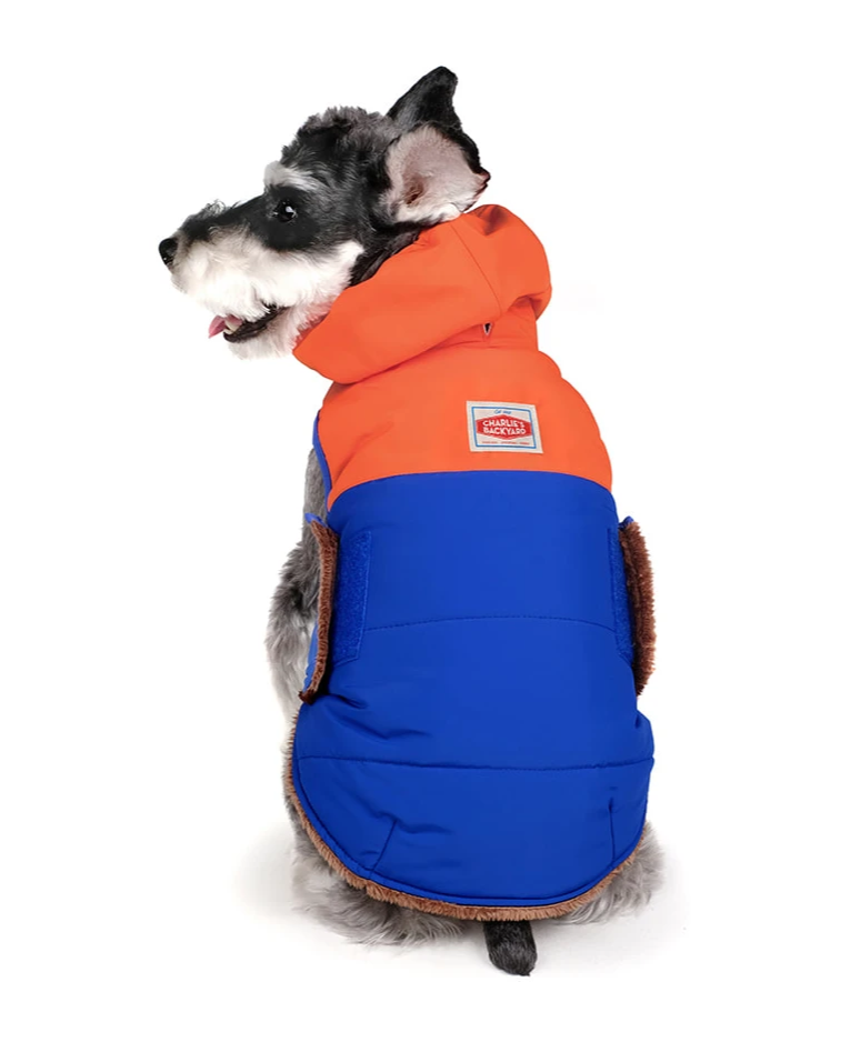 Turtle Padding Jacket in Orange and Blue (FINAL SALE) Wear CHARLIE'S BACKYARD   