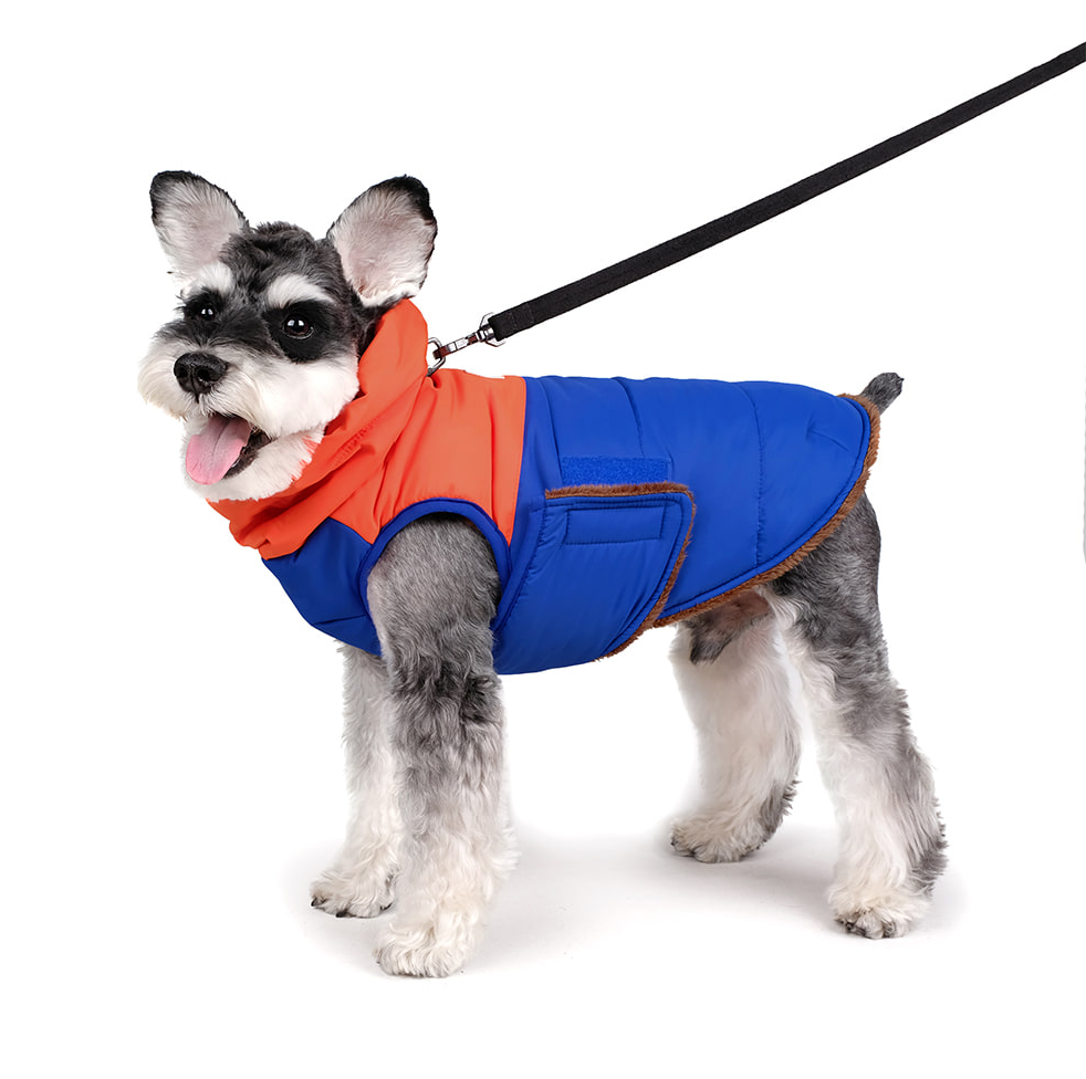 Turtle Padding Jacket in Orange and Blue (FINAL SALE) Wear CHARLIE'S BACKYARD   