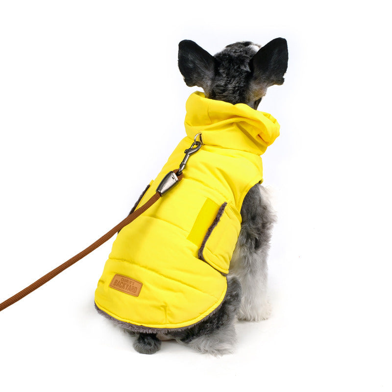 CHARLIE'S BACKYARD | Turtle Padding Jacket in Yellow Coats & Jackets CHARLIE'S BACKYARD   