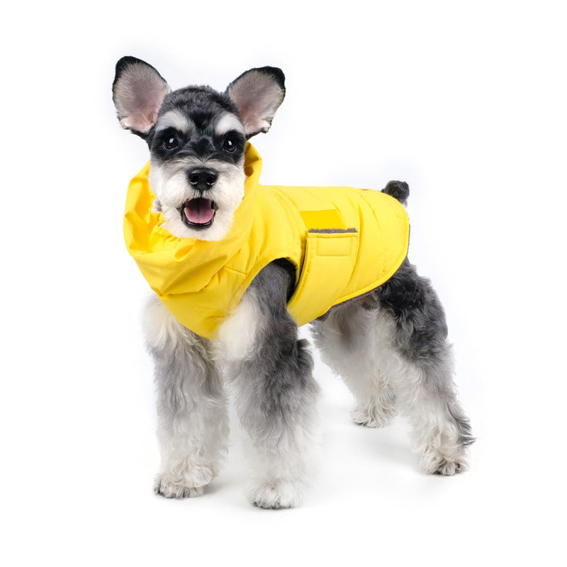 CHARLIE'S BACKYARD | Turtle Padding Jacket in Yellow Coats & Jackets CHARLIE'S BACKYARD   