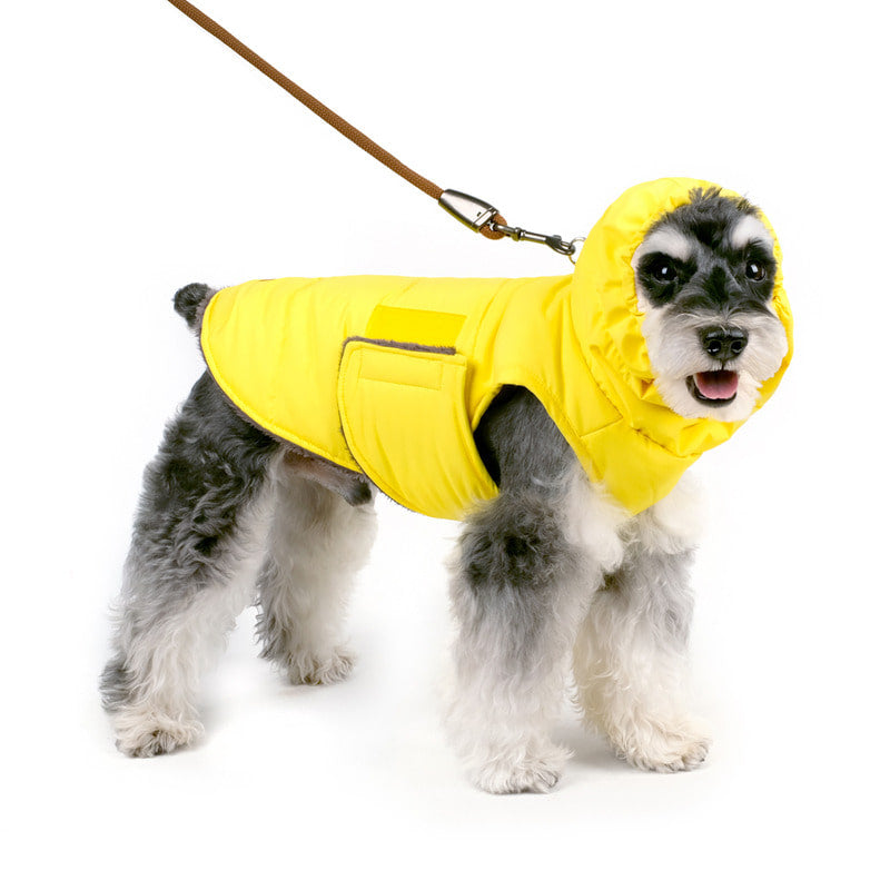 CHARLIE'S BACKYARD | Turtle Padding Jacket in Yellow Coats & Jackets CHARLIE'S BACKYARD   