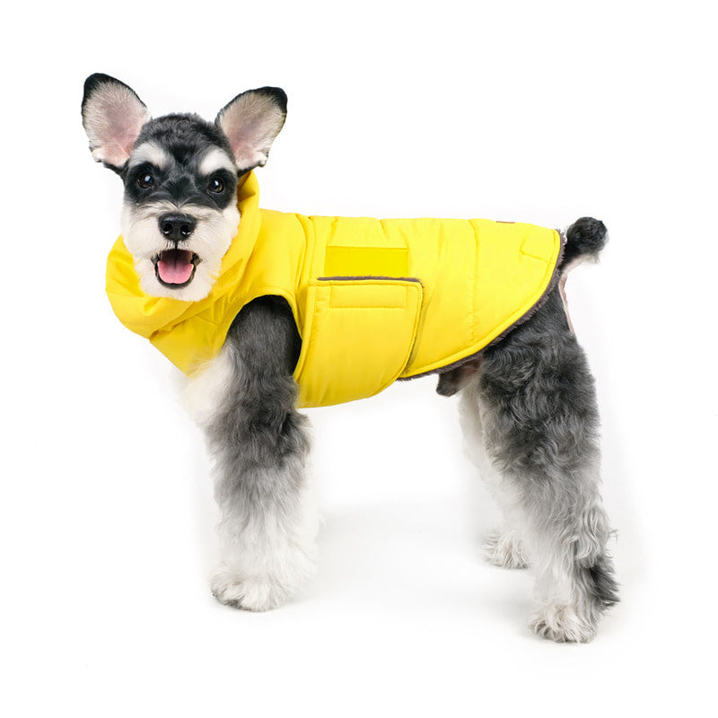 CHARLIE'S BACKYARD | Turtle Padding Jacket in Yellow Coats & Jackets CHARLIE'S BACKYARD   
