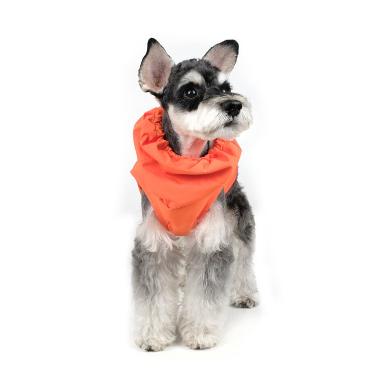 CHARLIE'S BACKYARD | Turtle Padding Jacket in Orange Coats & Jackets CHARLIE'S BACKYARD   