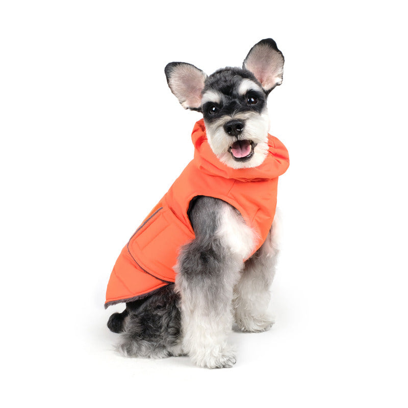 CHARLIE'S BACKYARD | Turtle Padding Jacket in Orange Coats & Jackets CHARLIE'S BACKYARD   