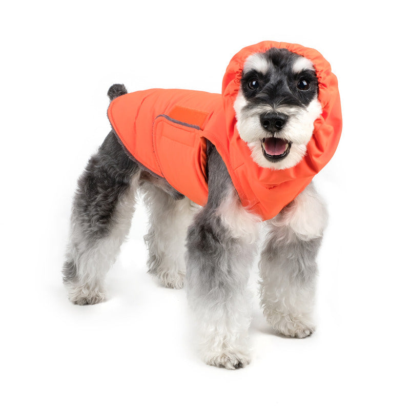 CHARLIE'S BACKYARD | Turtle Padding Jacket in Orange Coats & Jackets CHARLIE'S BACKYARD   