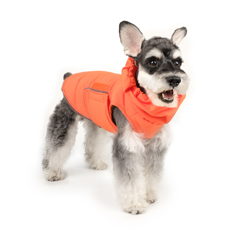 CHARLIE'S BACKYARD | Turtle Padding Jacket in Orange Coats & Jackets CHARLIE'S BACKYARD   