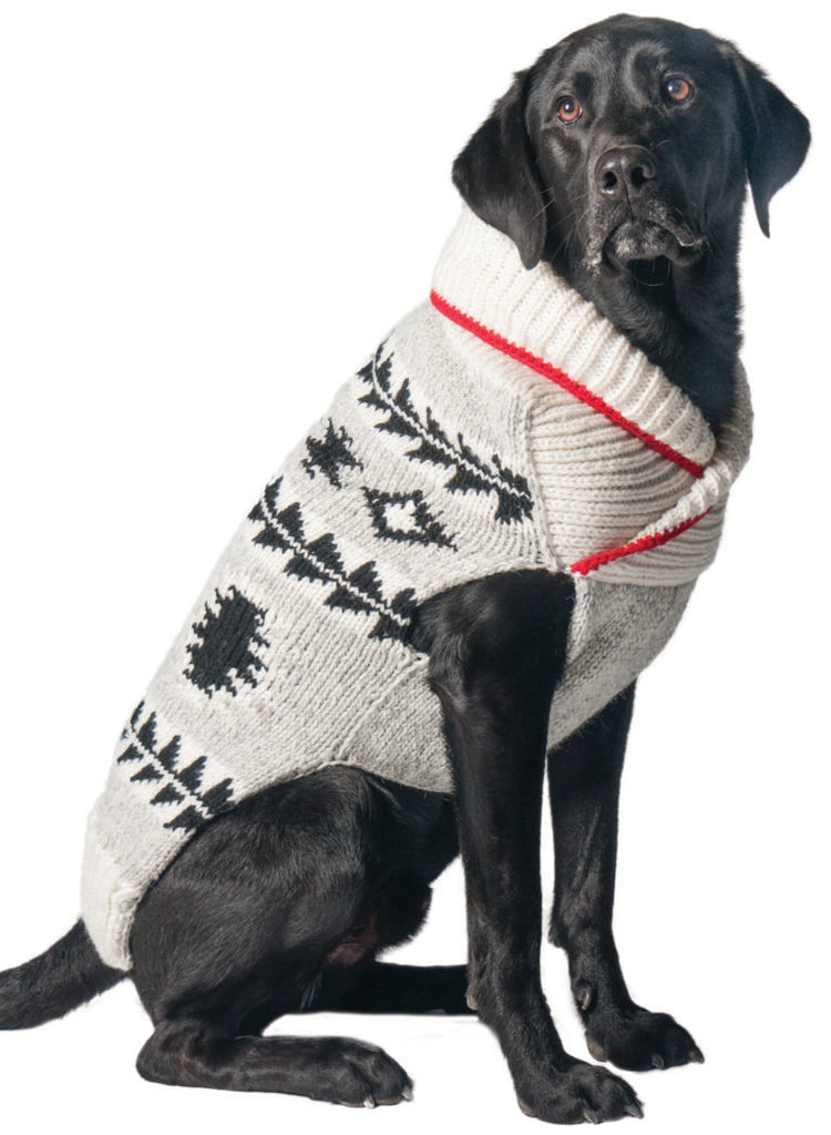 Jackson Wool Sweater Apparel Chilly Dog   