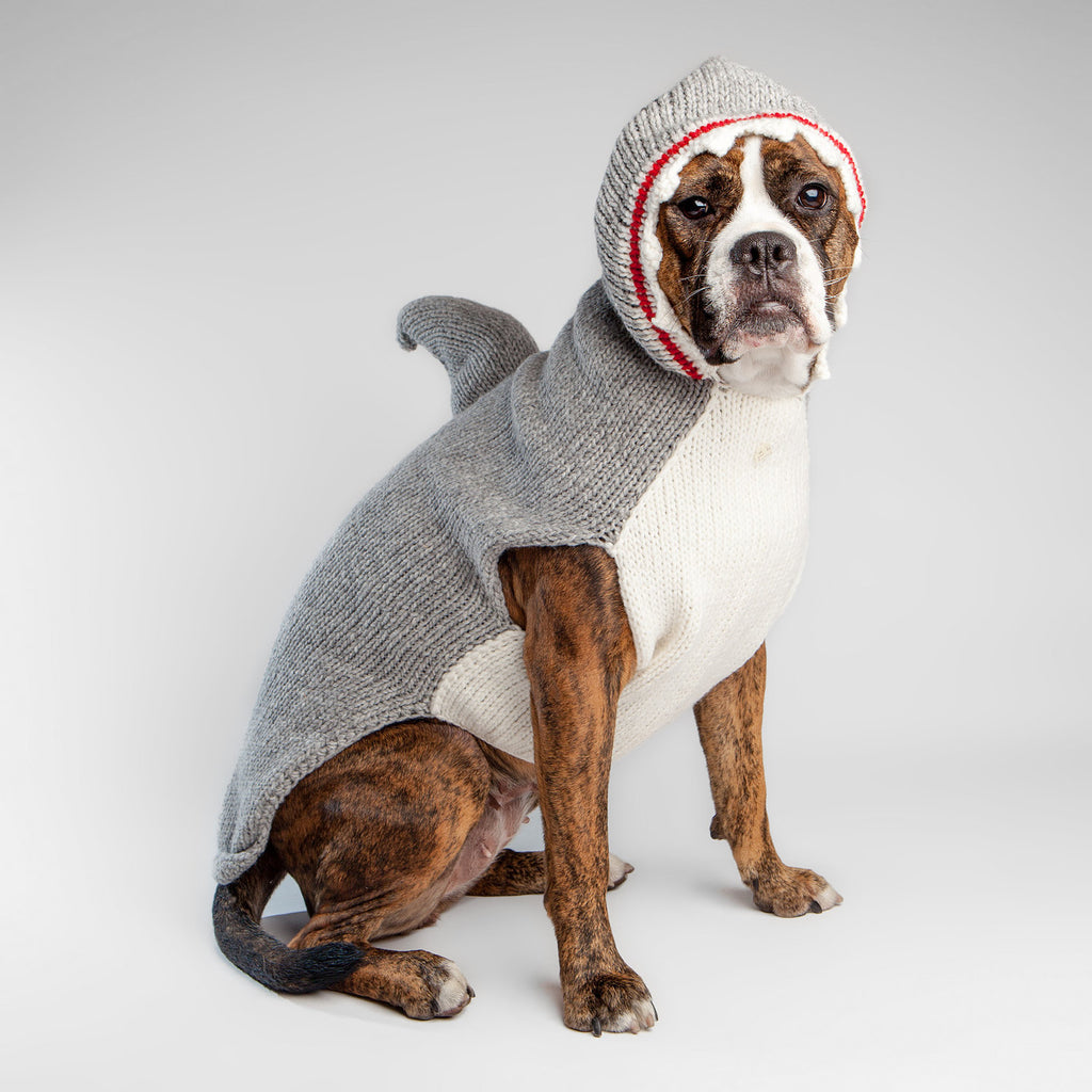 CHILLY DOG | Shark Hoodie Sweater Apparel Chilly Dog   