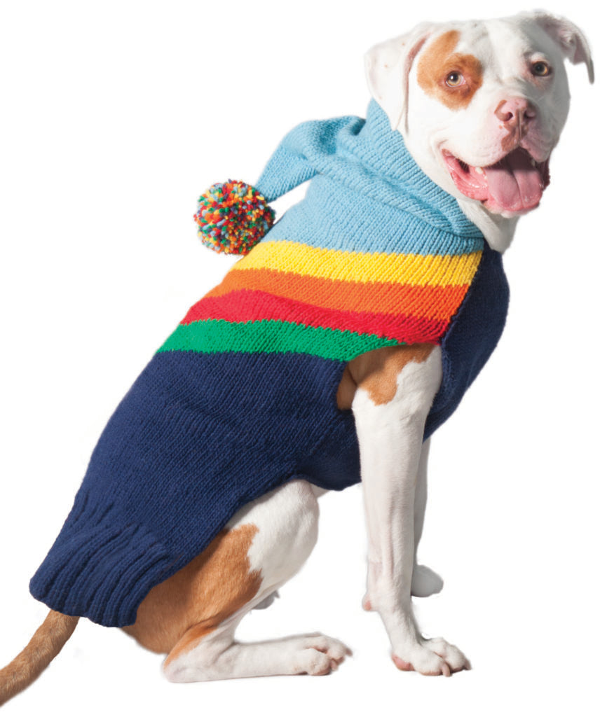 CHILLY DOG | Vintage Rainbow Hoodie Apparel Chilly Dog   