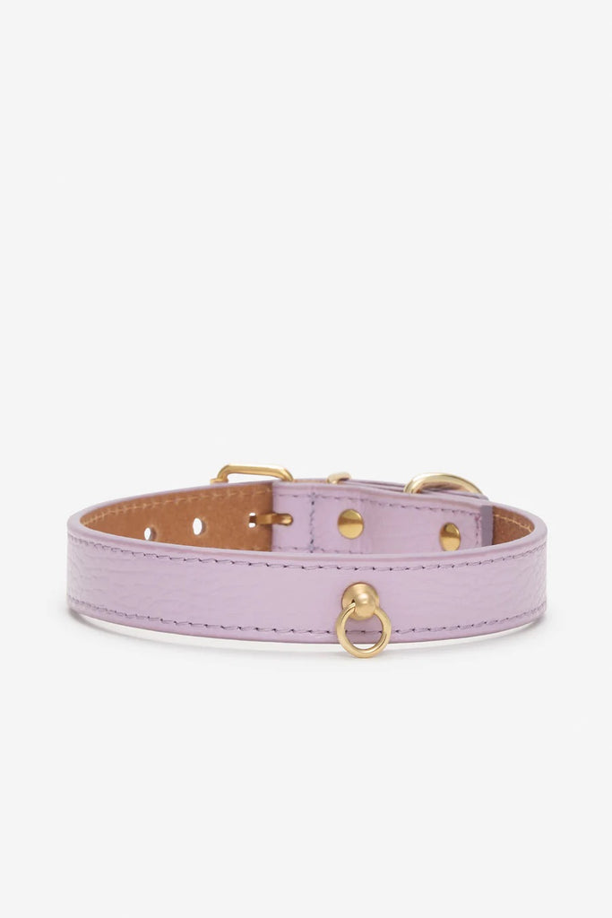 Juno Dog Collar in Lavender Cowhide Leather (Wide) (Made in Italy) Dog Collars BRANNI   