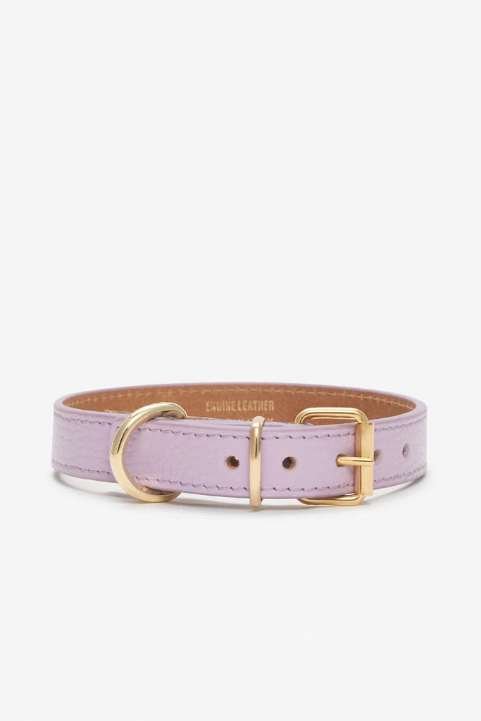 Juno Dog Collar in Lavender Cowhide Leather (Made in Italy) Dog Collars BRANNI   