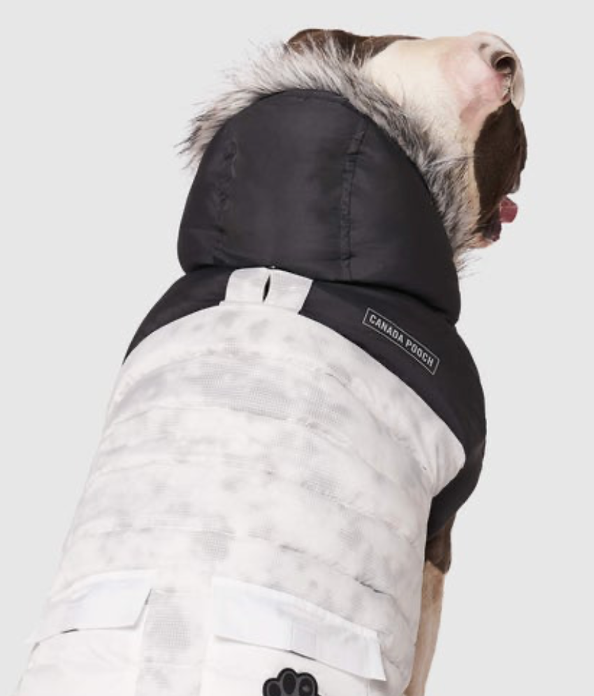 Eco True North Dog Parka in Marble << FINAL SALE >> Wear CANADA POOCH   