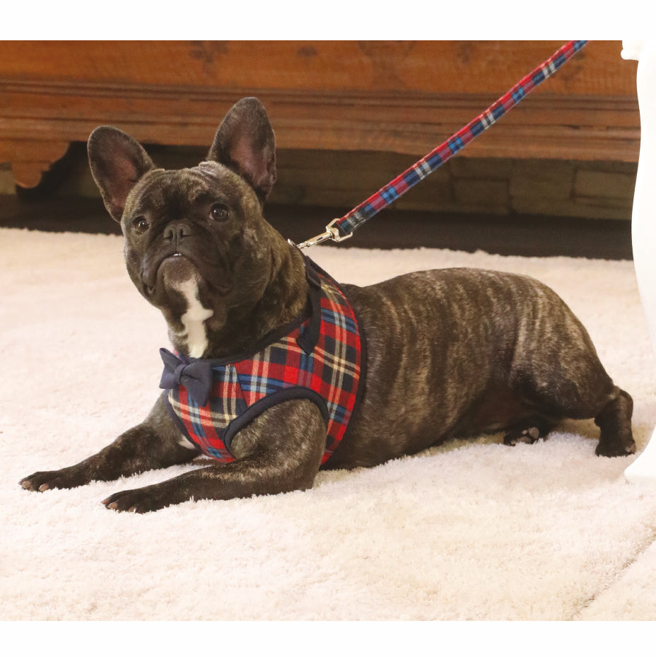 CROCI | British Plaid Harness Harness CROCI   