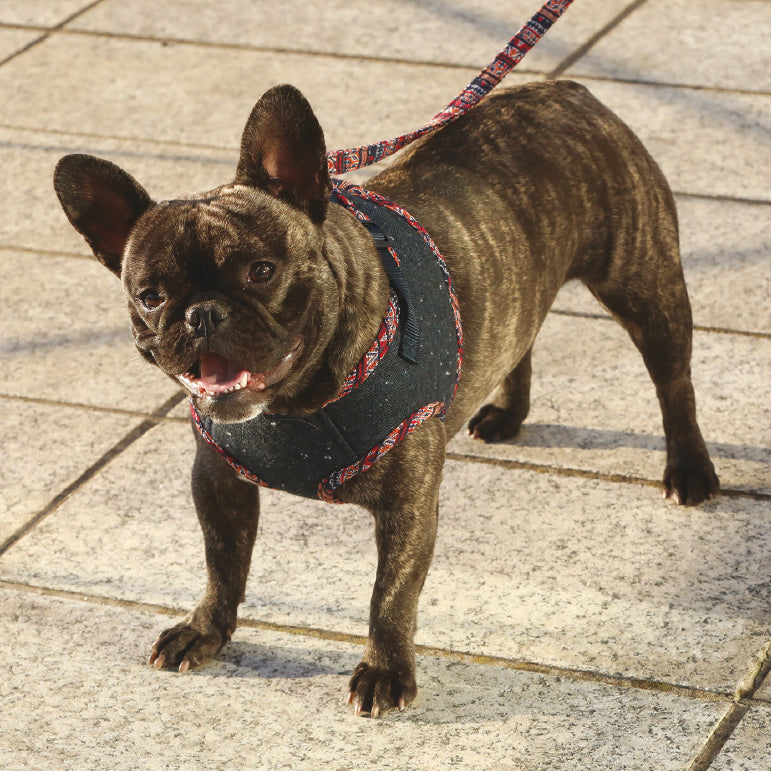 CROCI | Peruvian Harness Harness CROCI   