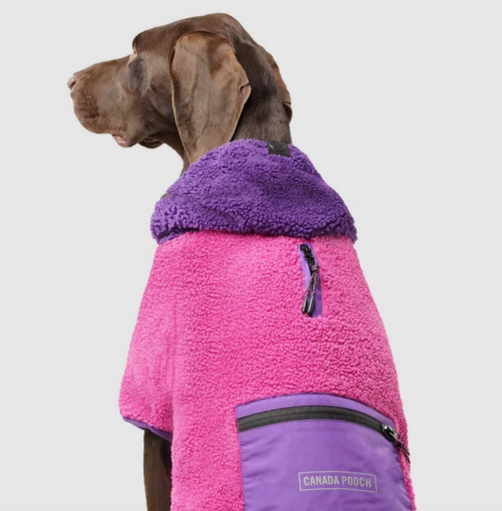 Cool Factor Fleece Dog Hoodie in Pink & Purple (FINAL SALE) Wear CANADA POOCH   