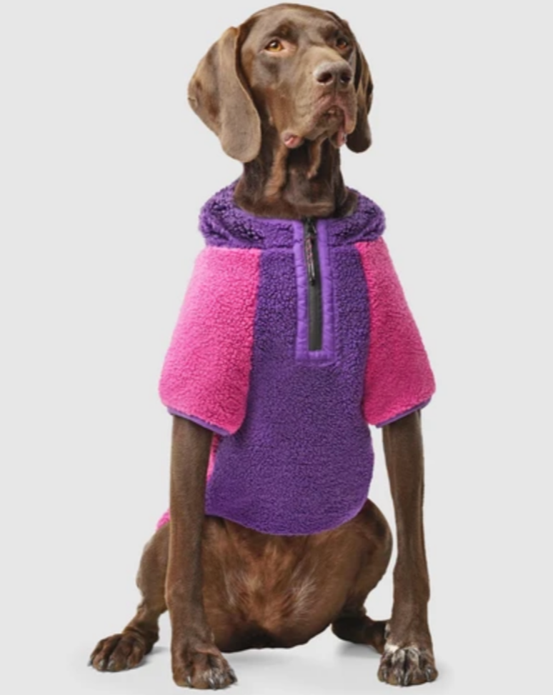 Cool Factor Fleece Dog Hoodie in Pink & Purple (FINAL SALE) Wear CANADA POOCH   