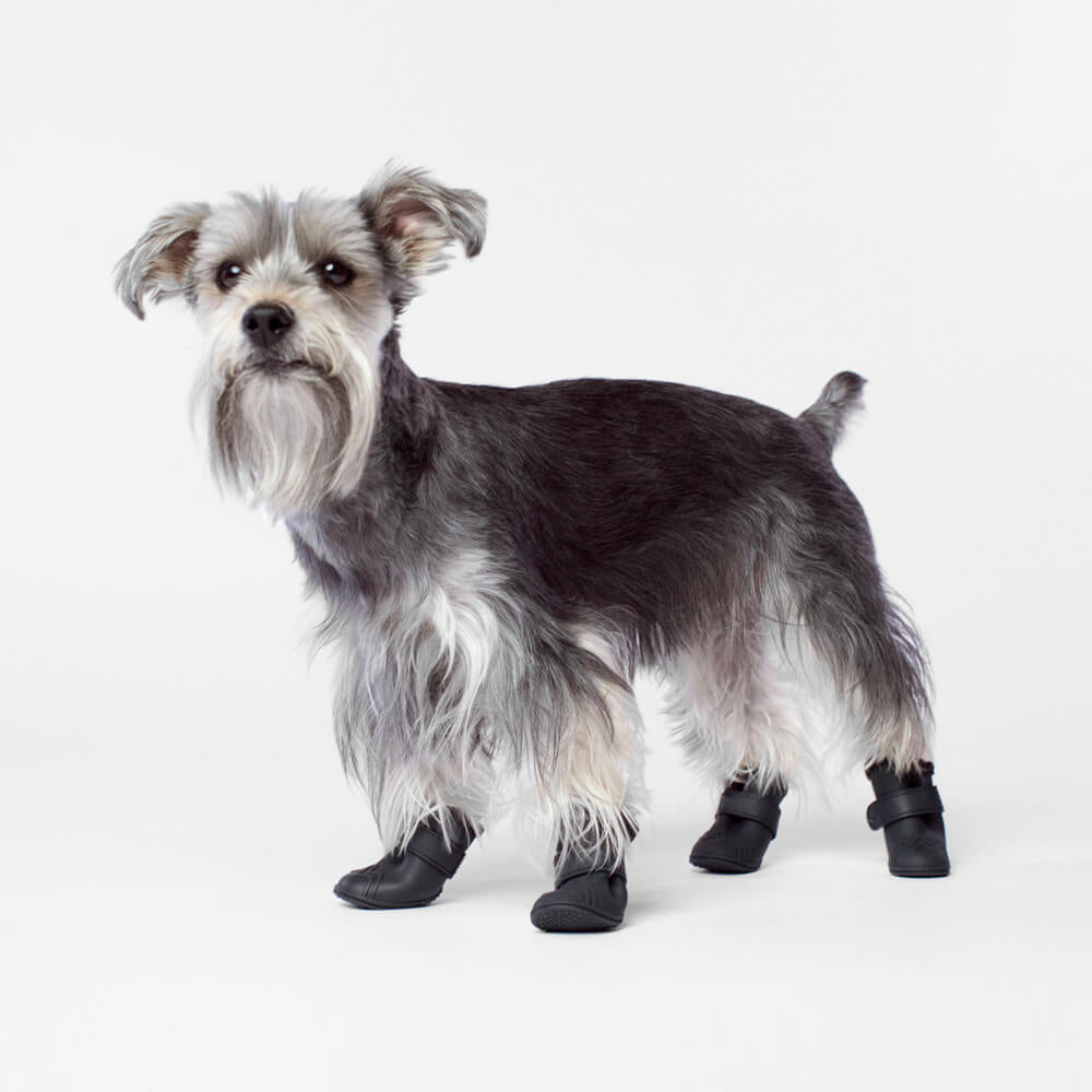 CANADA POOCH | Fleeced Lined Wellies Boots in Black Boots CANADA POOCH   