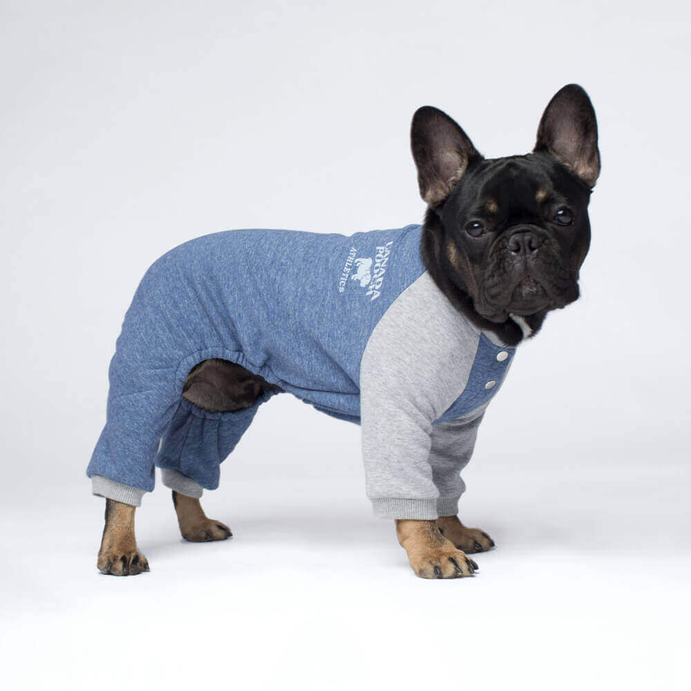 CANADA POOCH | Frosty Fleece Sweatsuit in Blue Apparel CANADA POOCH   