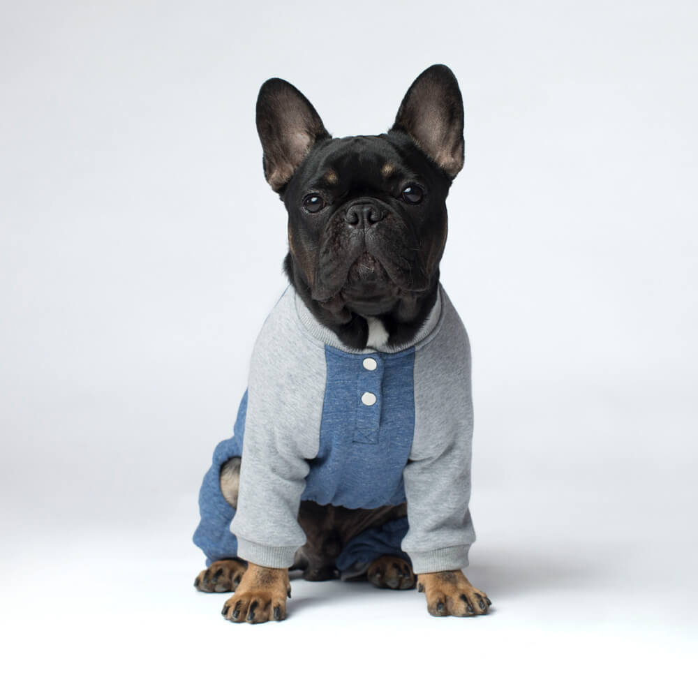 CANADA POOCH | Frosty Fleece Sweatsuit in Blue Apparel CANADA POOCH   