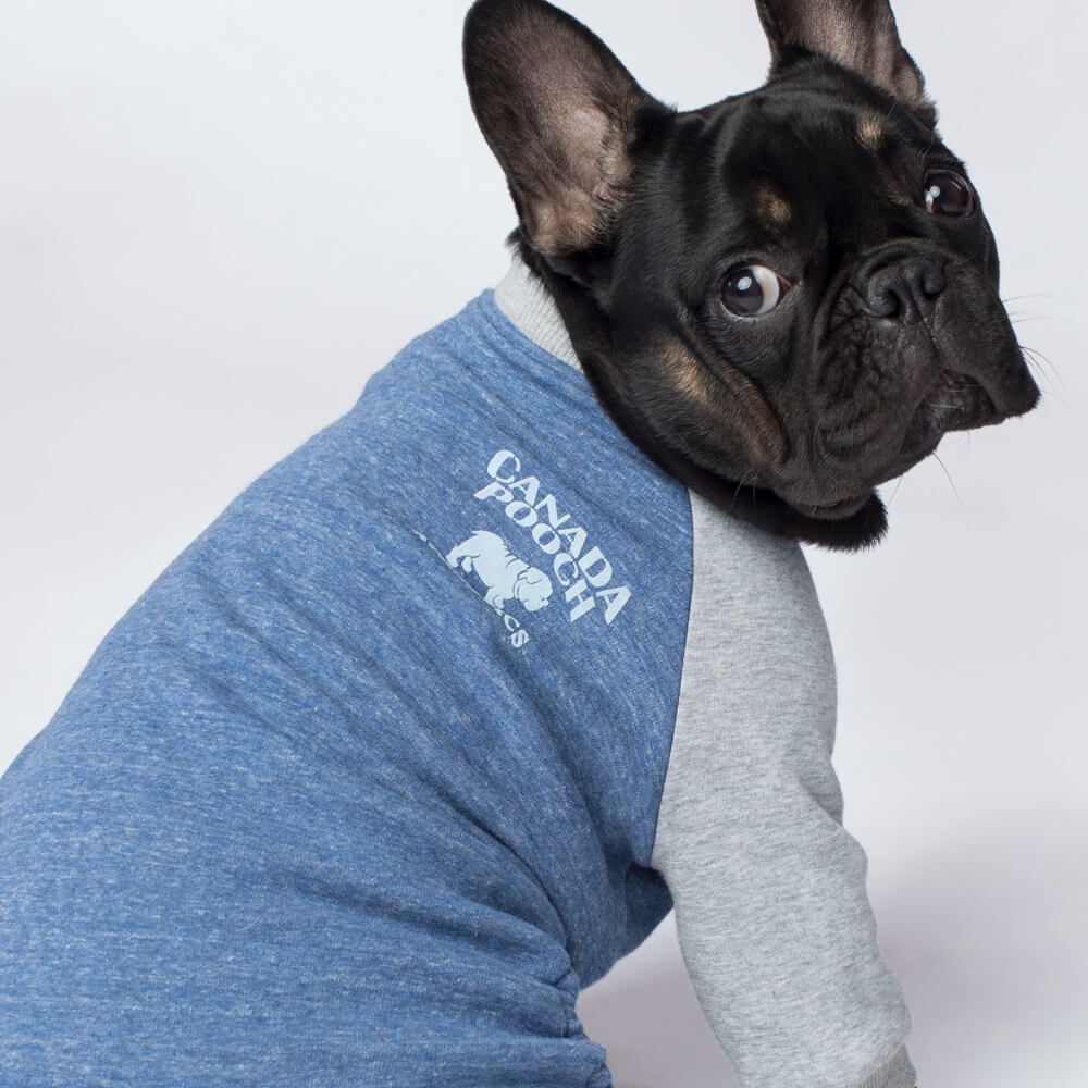 Canada pooch frosty fleece sweatsuit cheap