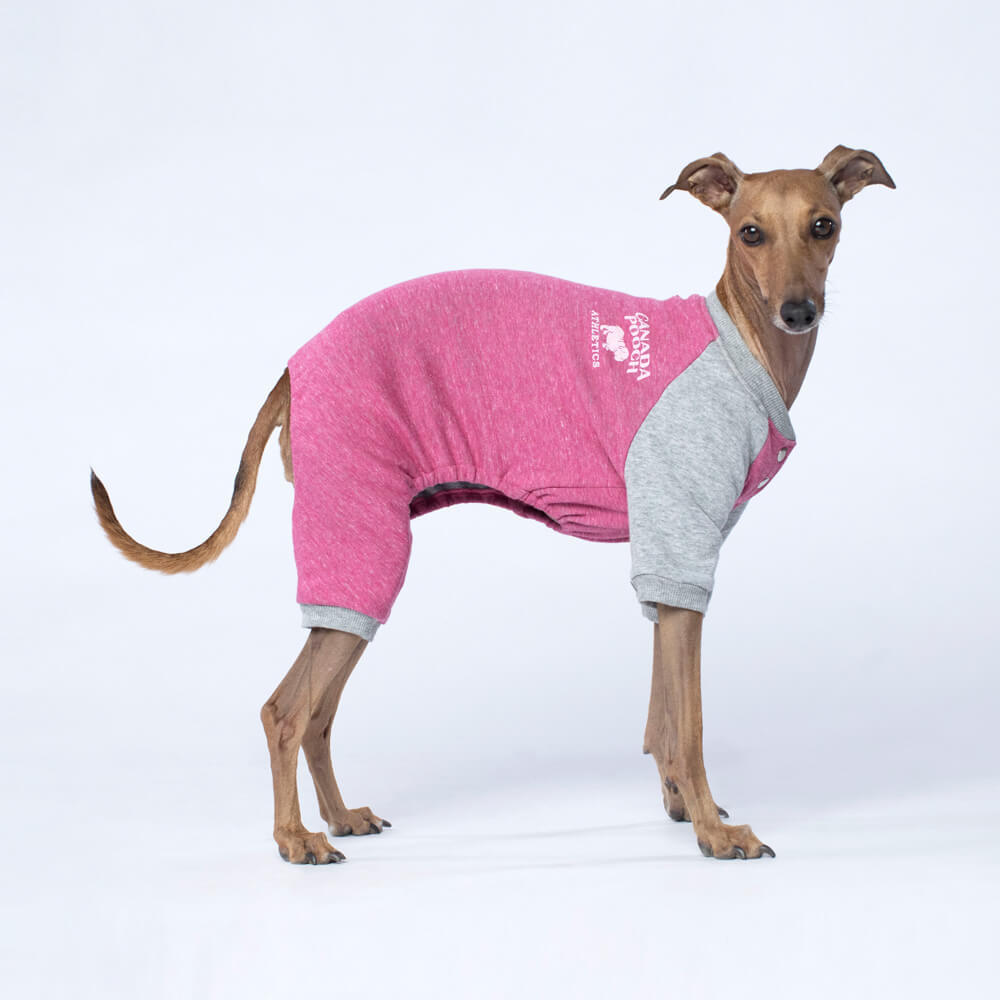 CANADA POOCH | Frosty Fleece Sweatsuit in Rasberry Apparel CANADA POOCH   