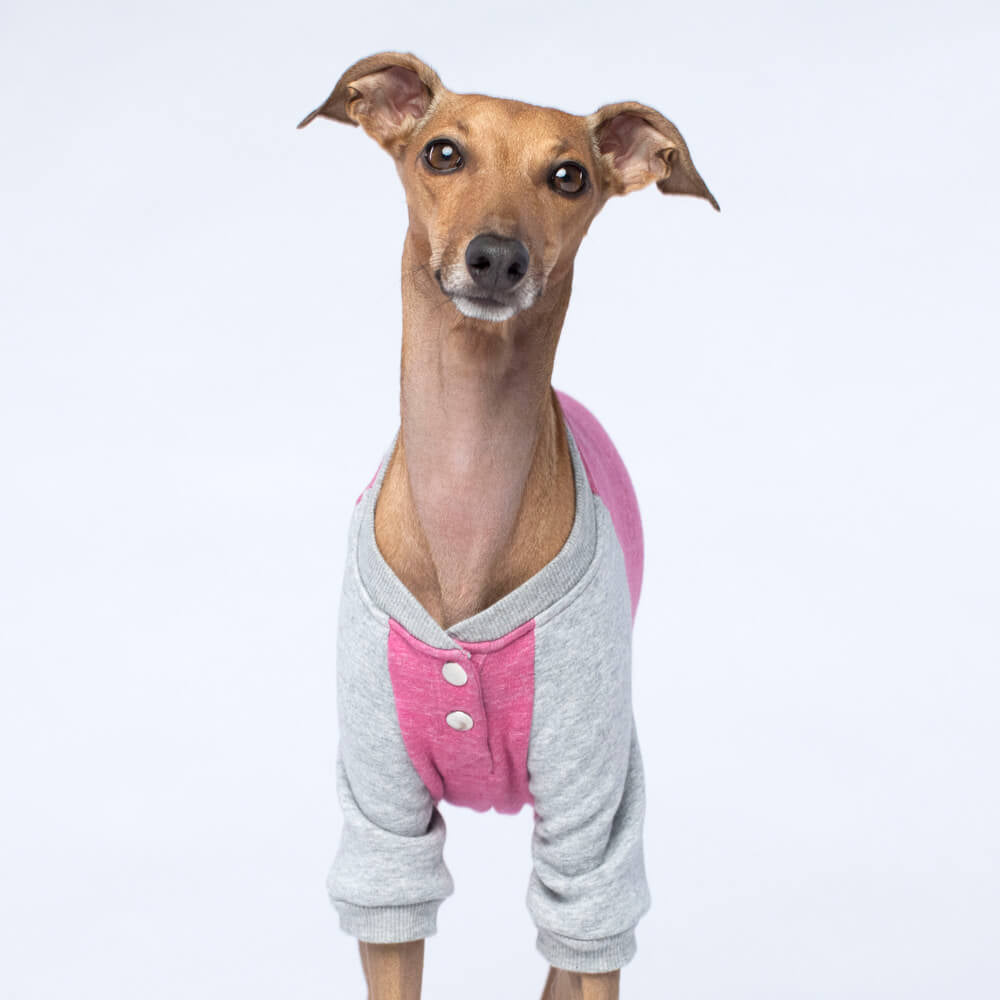 CANADA POOCH | Frosty Fleece Sweatsuit in Rasberry Apparel CANADA POOCH   