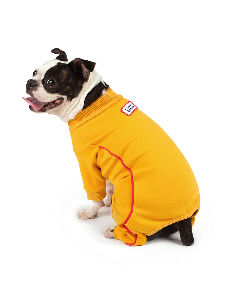 Bruce Warmer Dog Onesie in Yellow << FINAL SALE >> Wear CHARLIE'S BACKYARD   