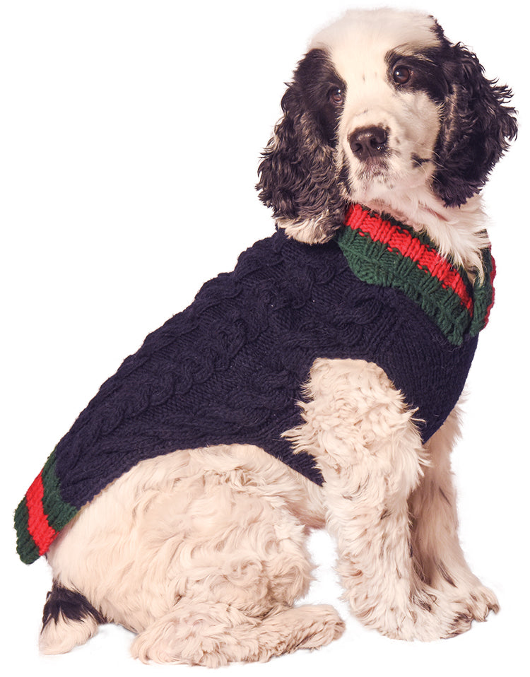 CHILLY DOG | Varsity Sweater Apparel Chilly Dog   
