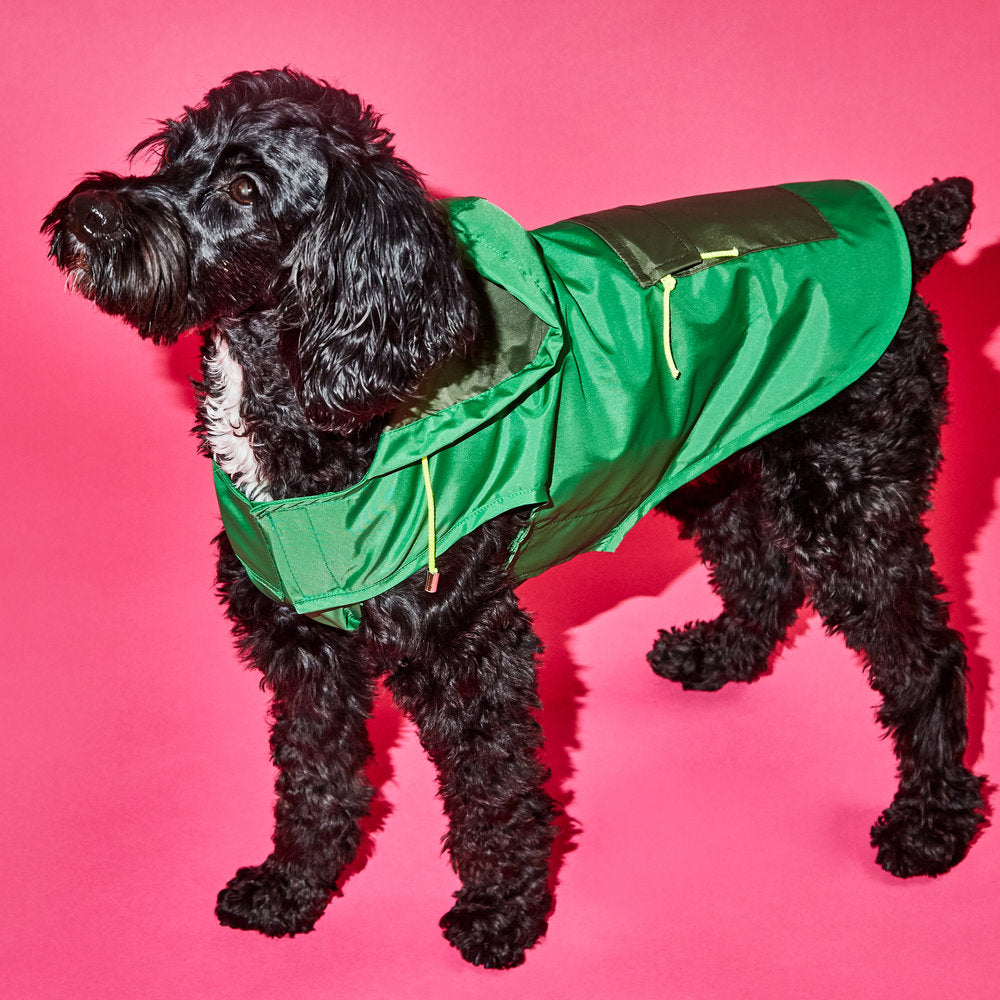 WARE OF THE DOG | Colorblock Anorak Raincoat in Green/Olive Apparel WARE OF THE DOG   