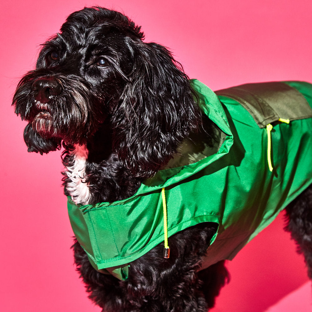WARE OF THE DOG | Colorblock Anorak Raincoat in Green/Olive Apparel WARE OF THE DOG   