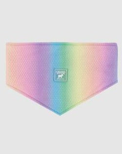 Chill Seeker Cooling Dog Bandana in Rainbow << CLEARANCE >> Wear CANADA POOCH   