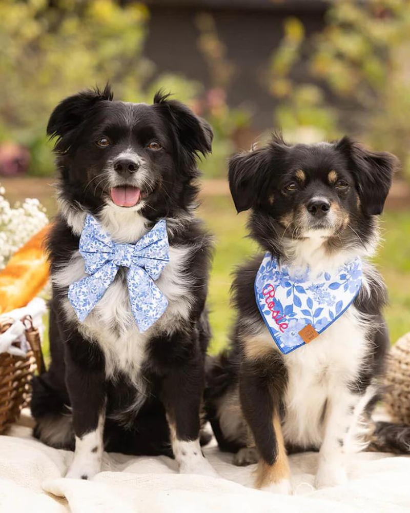 THE FOGGY DOG | Blue Roses Spring Lady Dog Bow | DOG & CO.