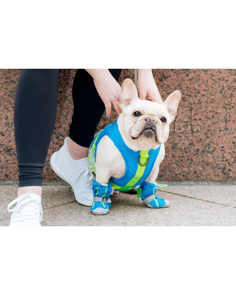 Chill Seeker Cooling Dog Harness in Blue and Green << CLEARANCE >> WALK CANADA POOCH   