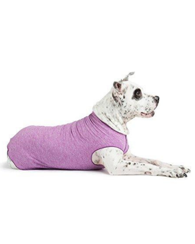 Sun Shield Dog Tee in Violet (Made in the USA) << CLEARANCE >> Apparel GOLD PAW   