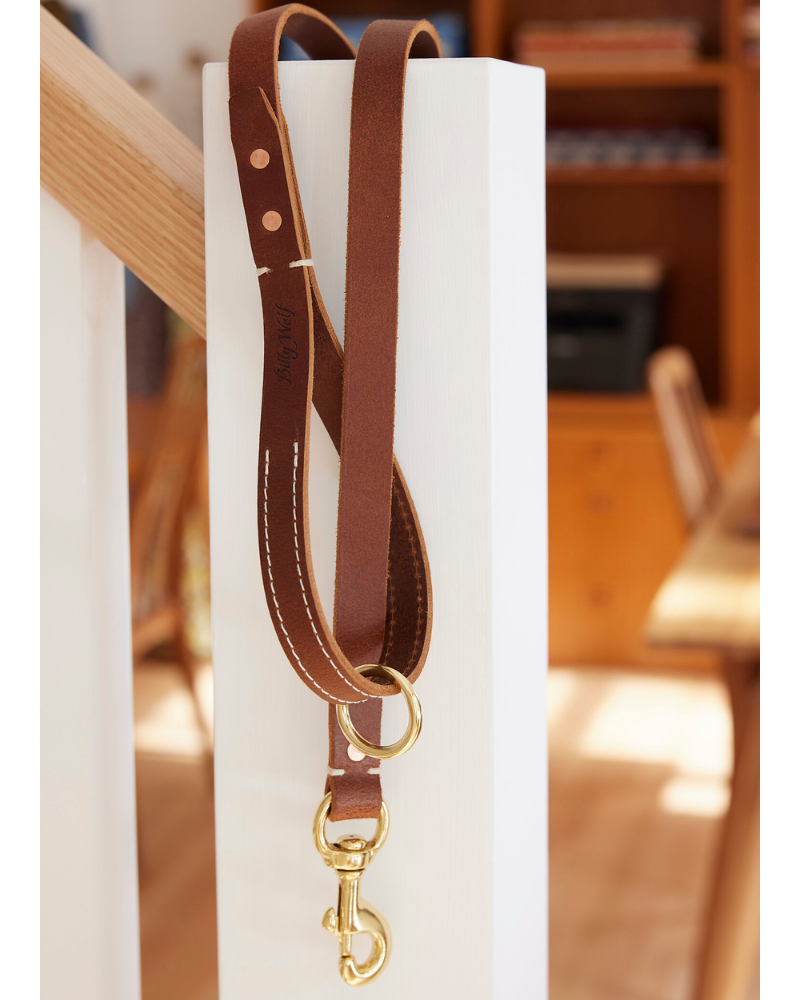 Rambler Standard Dog Leash in Terra WALK BILLY WOLF   