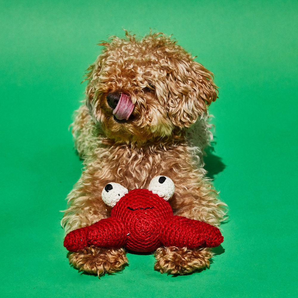 Cotton Crochet Crab Squeaky Plush Dog Toy Play WARE OF THE DOG