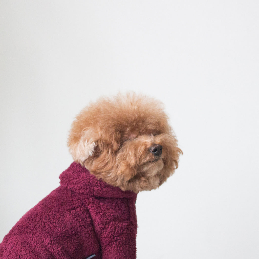DENTISTS APPOINTMENT | Boa Fleece All-in-One in Burgundy Apparel DENTISTS APPOINTMENT   