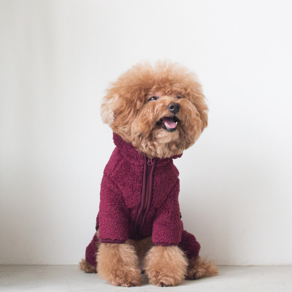 DENTISTS APPOINTMENT | Boa Fleece All-in-One in Burgundy Apparel DENTISTS APPOINTMENT   